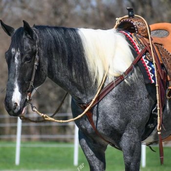 WhatsApp Image 2026-02-10 at 8.13.39 AM