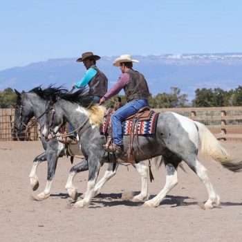 WhatsApp Image 2026-02-10 at 8.13.41 AM (1)