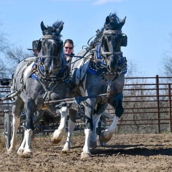 WhatsApp Image 2026-02-10 at 8.13.41 AM (2)