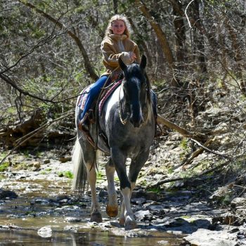 WhatsApp Image 2026-02-10 at 8.13.41 AM