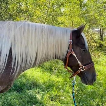 WhatsApp Image 2026-02-10 at 8.17.52 AM