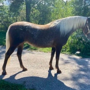 WhatsApp Image 2026-02-10 at 8.17.53 AM (1)