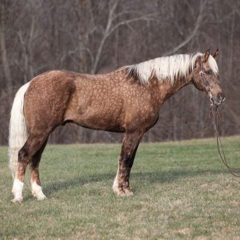 WhatsApp Image 2026-02-10 at 8.19.32 AM (2)