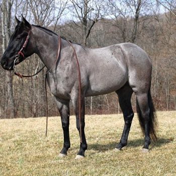 WhatsApp Image 2026-02-10 at 8.22.46 AM (1)