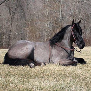 WhatsApp Image 2026-02-10 at 8.22.46 AM