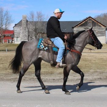 WhatsApp Image 2026-02-10 at 8.22.47 AM