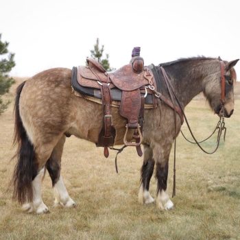 WhatsApp Image 2026-02-10 at 8.24.51 AM (1)