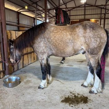 WhatsApp Image 2026-02-10 at 8.24.52 AM