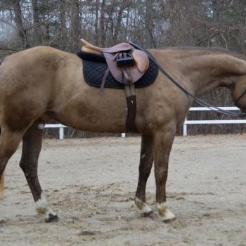 WhatsApp Image 2026-02-10 at 8.26.38 AM (1)