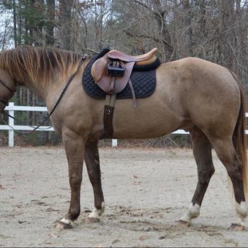 WhatsApp Image 2026-02-10 at 8.26.38 AM