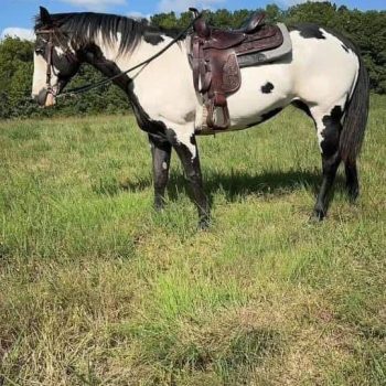 WhatsApp Image 2026-02-10 at 8.29.59 AM (1)