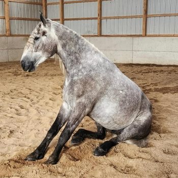 WhatsApp Image 2026-02-10 at 8.43.05 AM